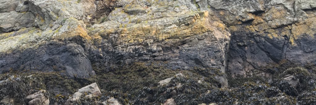 𝓕𝓮𝓪𝓽𝓱𝓮𝓻𝓼 𝓜𝓬𝓖𝓻𝓪𝔀 banner