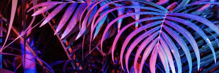 EmmaLaneRock's profile banner image