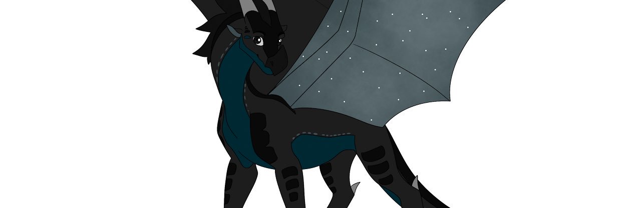 stargazerthenightwing banner