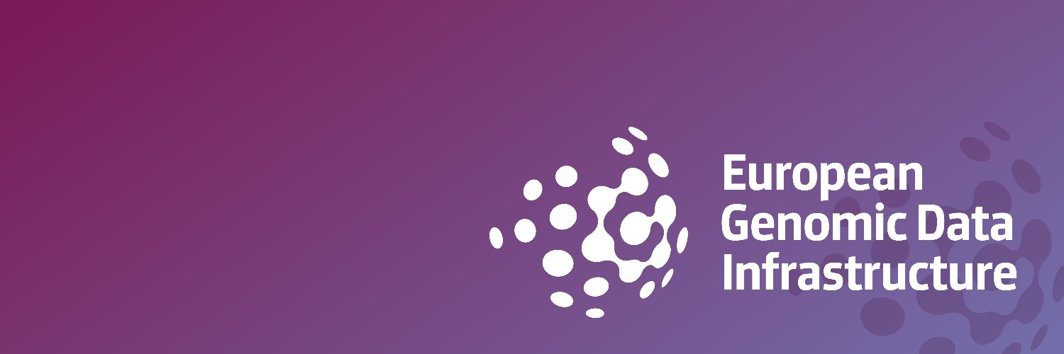 GDI_EUproject banner