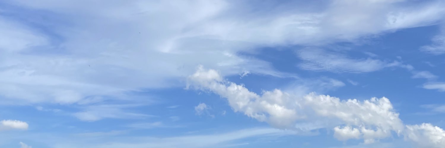 不万能的花艺师 banner