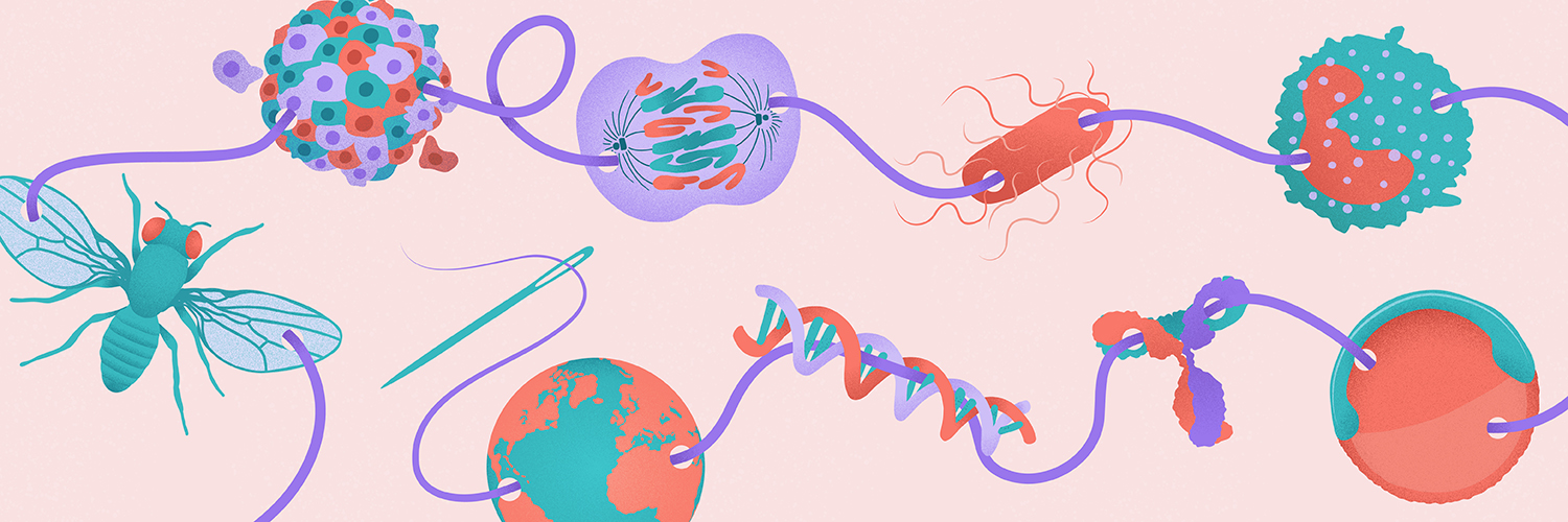 Building Bridges in Biology banner