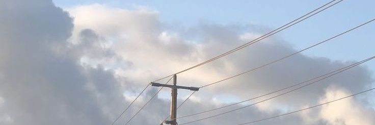 핌 banner