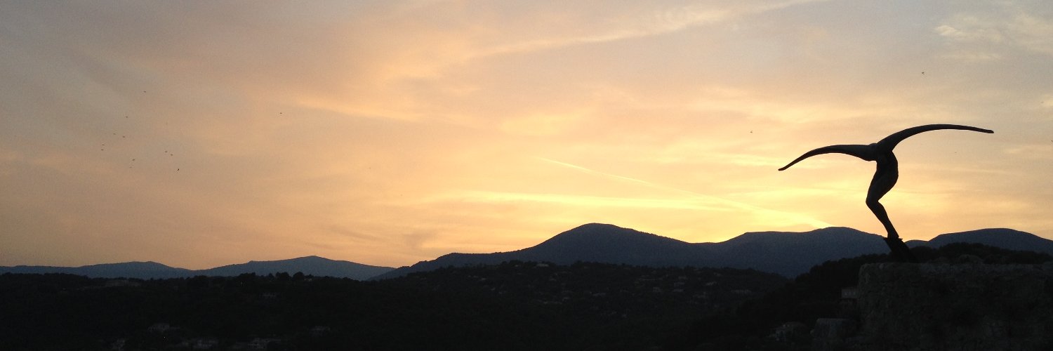 Sophie Bertaud banner