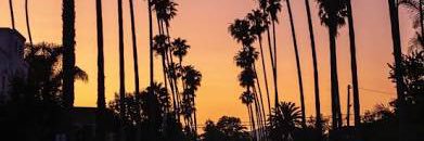 alienrunner33 banner