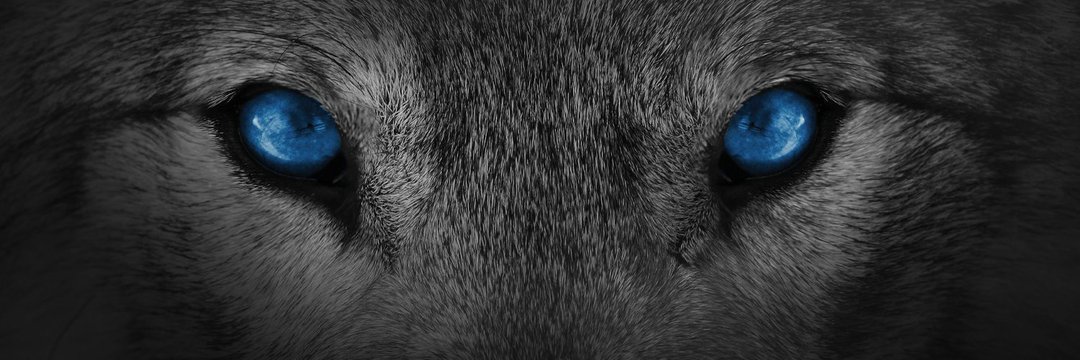 bhty123's profile banner image