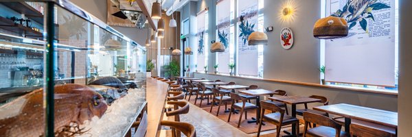 CausaDc Profile Banner