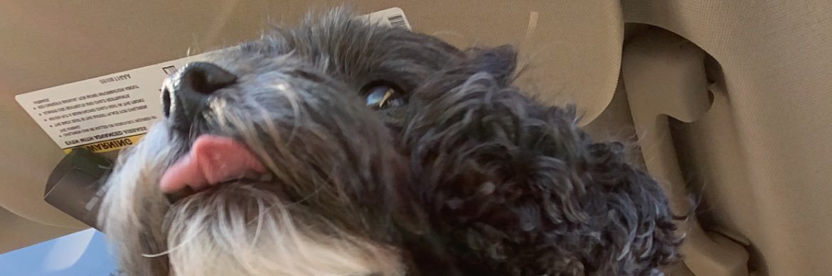 hayhumm's profile banner image