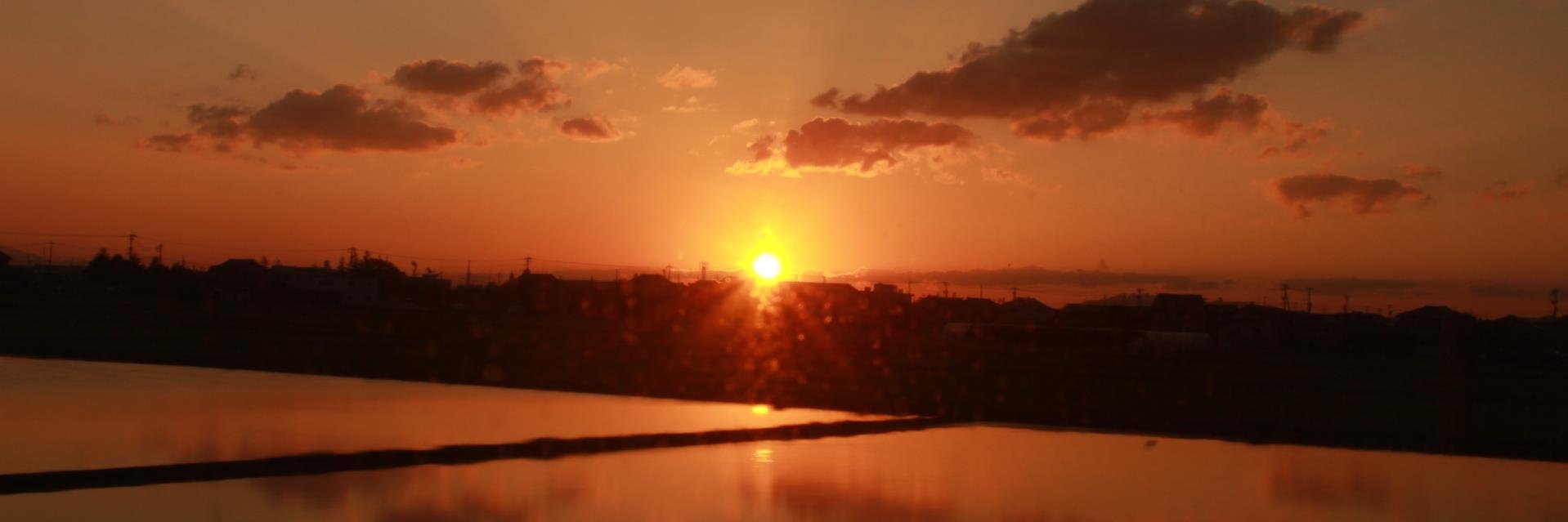 shion_01's profile banner image
