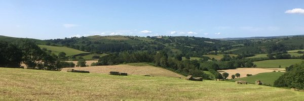 AlanDangour Profile Banner