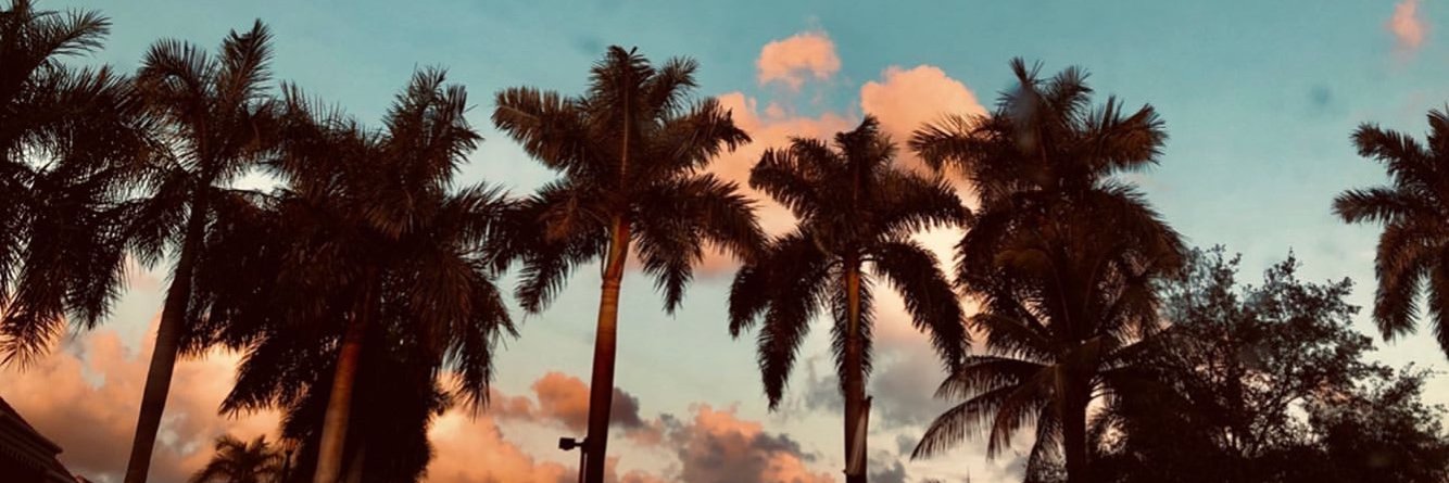 davconejo's profile banner image