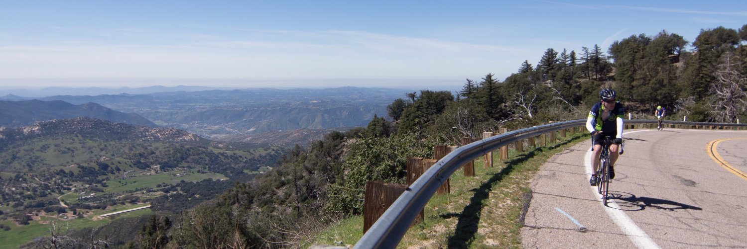 Michael A. Vickers banner