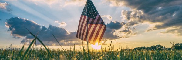 csselex Profile Banner