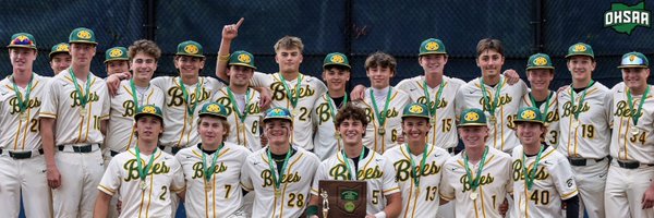 MHSBaseballBees Profile Banner