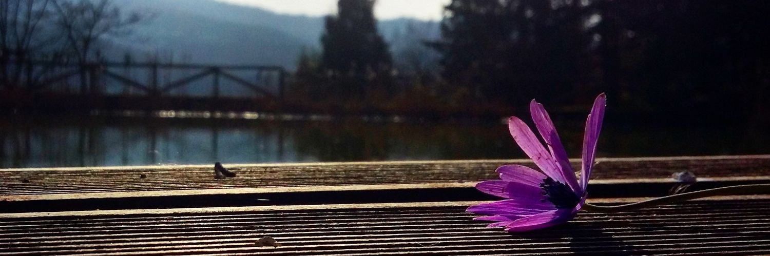 cristinapast's profile banner image