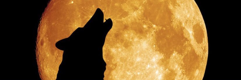 Simroop Ladhar banner