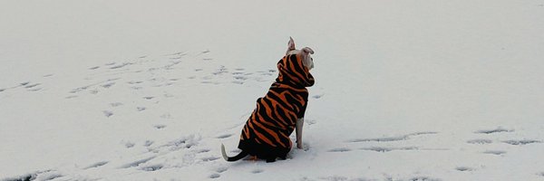 DonCmcknight13t Profile Banner