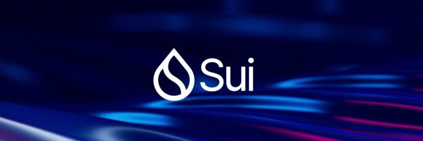 Sui Foundation Profile Banner