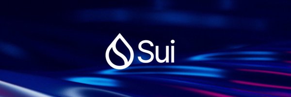 SuiFoundation Profile Banner