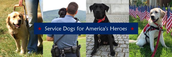 HeroDogsInc Profile Banner
