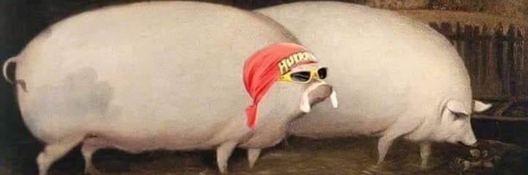 bigreddump's profile banner image
