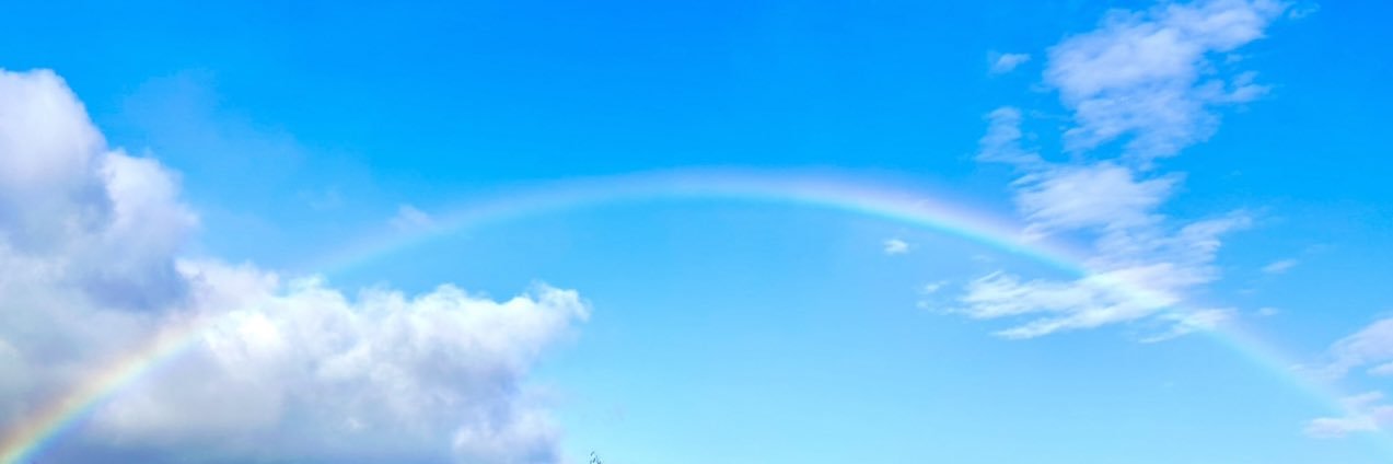 ｿｱﾝ banner
