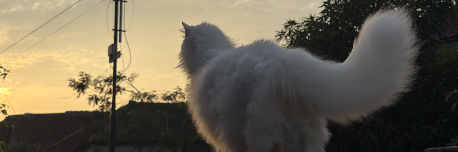 uliloui's profile banner image