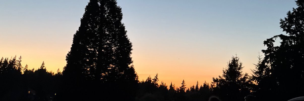 TracyBN's profile banner image