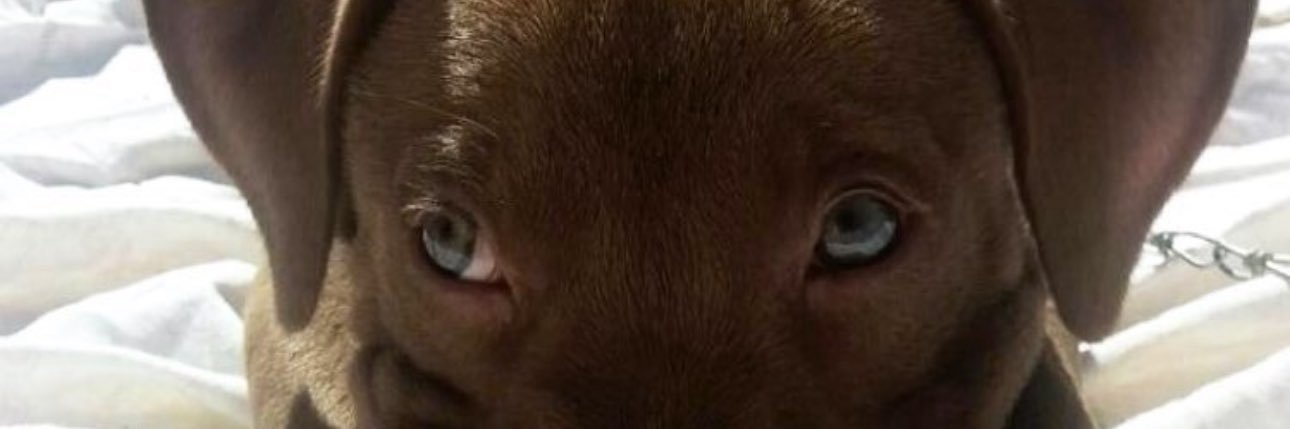 yasrrocha_'s profile banner image
