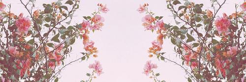 Patricia_Tobar's profile banner image