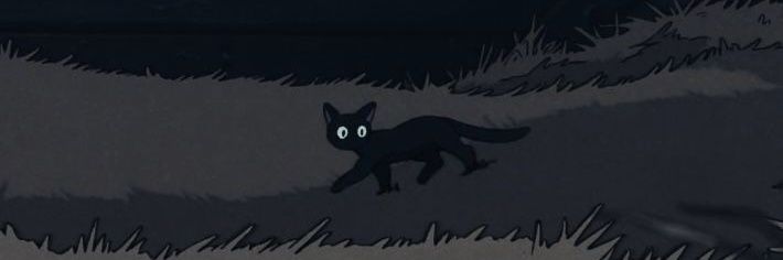 Zaky? banner