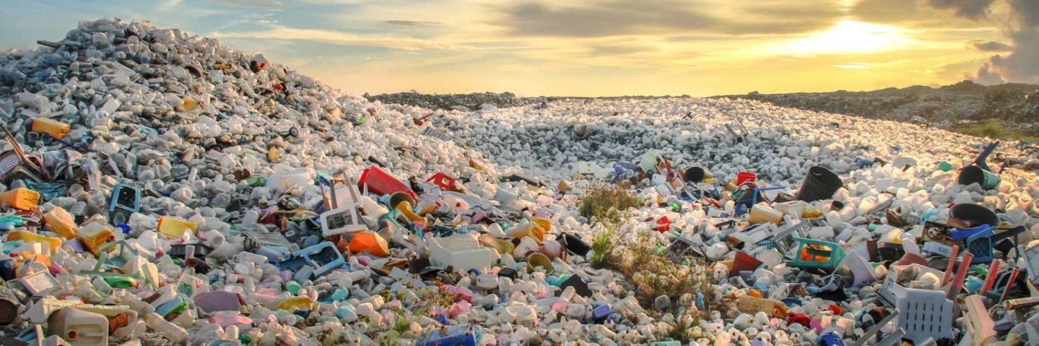 @sne11ius@mstdn.social banner