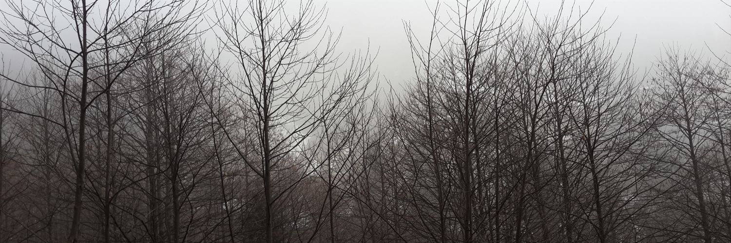 mmstf_shn's profile banner image