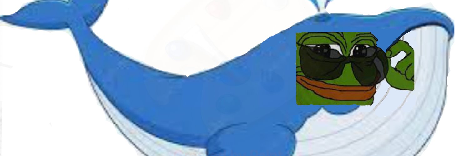 Ambitious Amphibian 🐸 banner