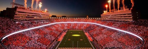 Vanilla Gorilla banner