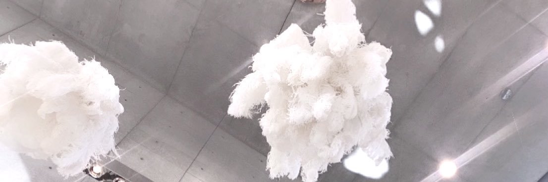 ℛ⃛♡ banner