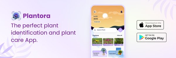 PlantoraApp Profile Banner