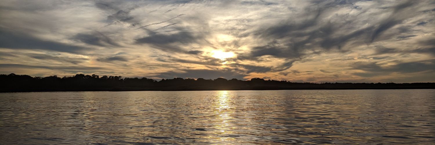 Chips545's profile banner image