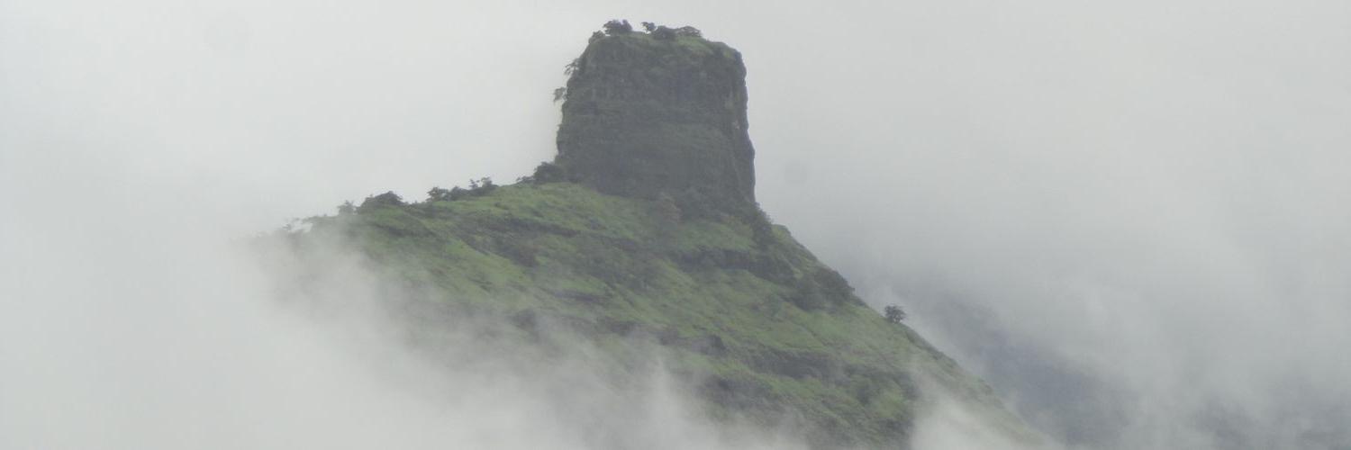 vinmady's profile banner image