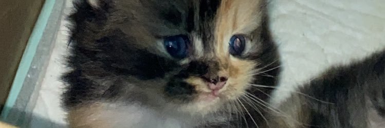 byeby_99's profile banner image