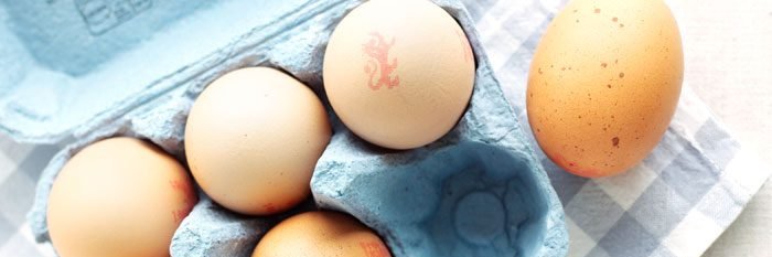 FomoEgg's profile banner image