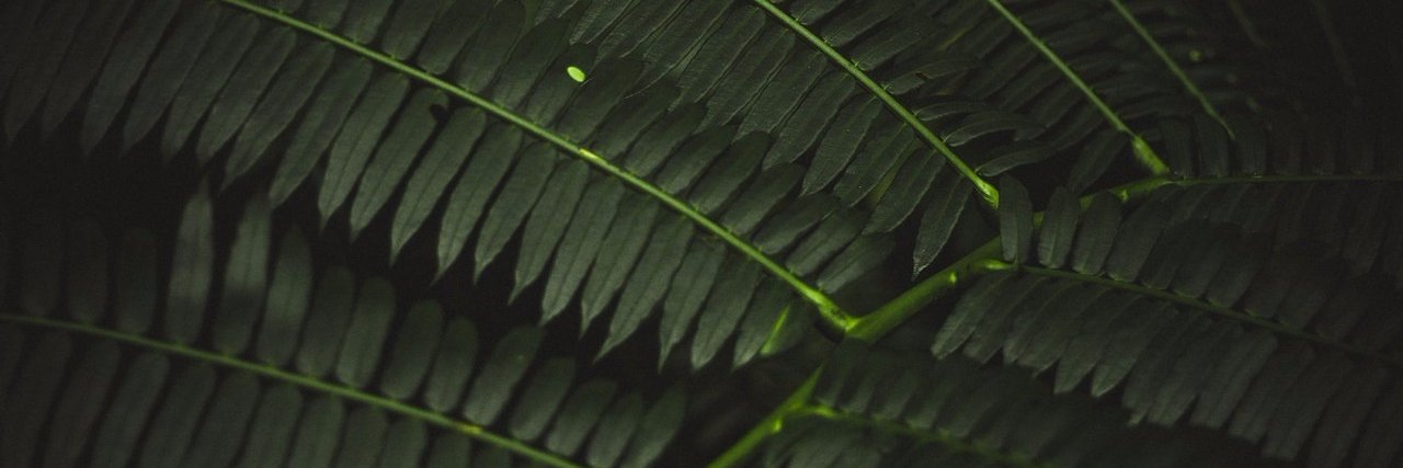 SmolovaOV's profile banner image