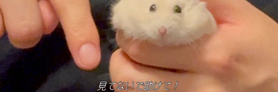 Divi_dayo's profile banner image
