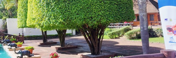 saidmbarak04 Profile Banner