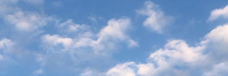 evs¹² banner