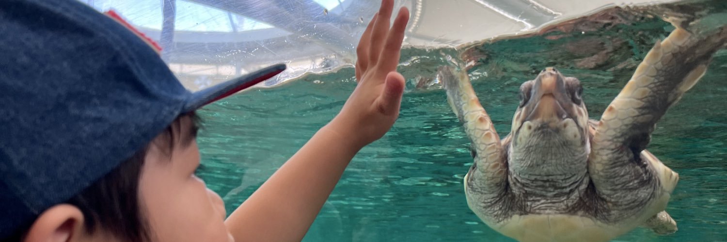 NruiOo's profile banner image