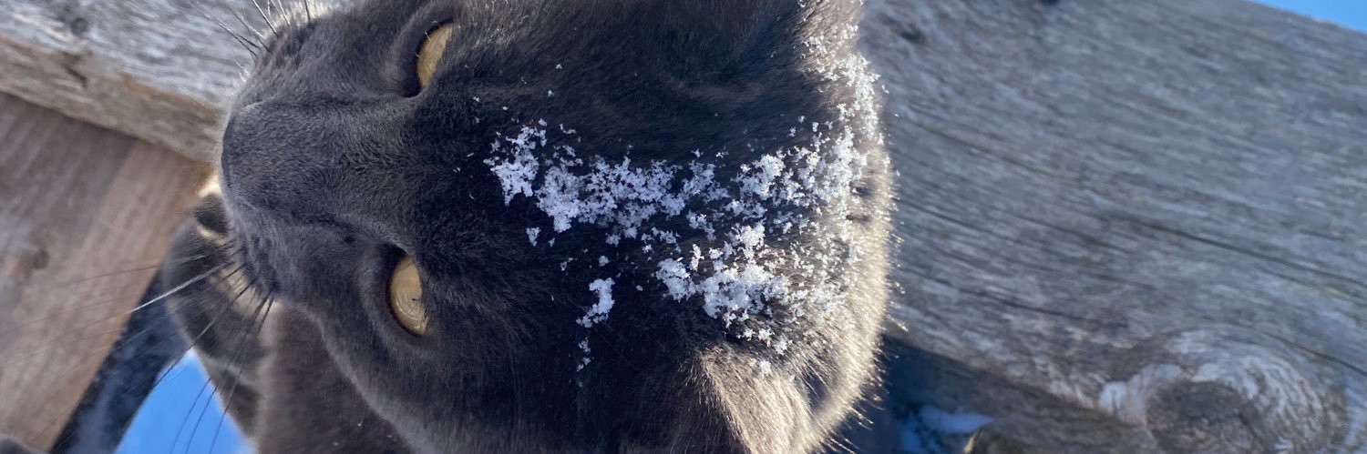 colervj's profile banner image