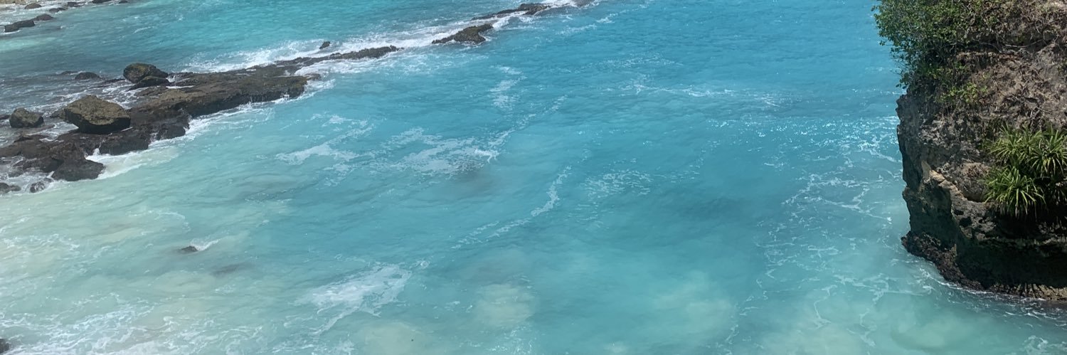 Bibiloniocane's profile banner image