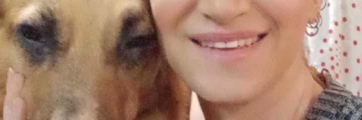 SepideRahimizee's profile banner image