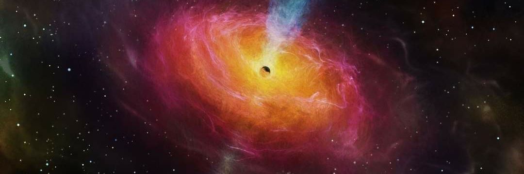 Lorenzo Medici banner